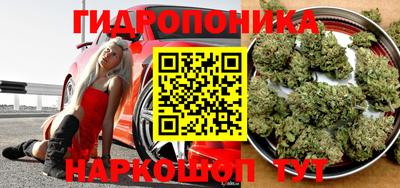 мдпв Моздок